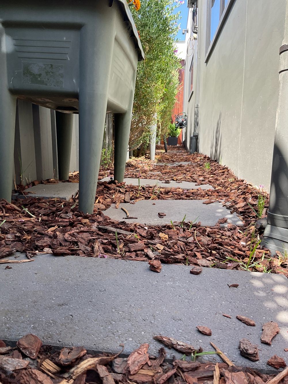 Insufficient grading beside a house, recorded on a building and pest inspection in Maidstone