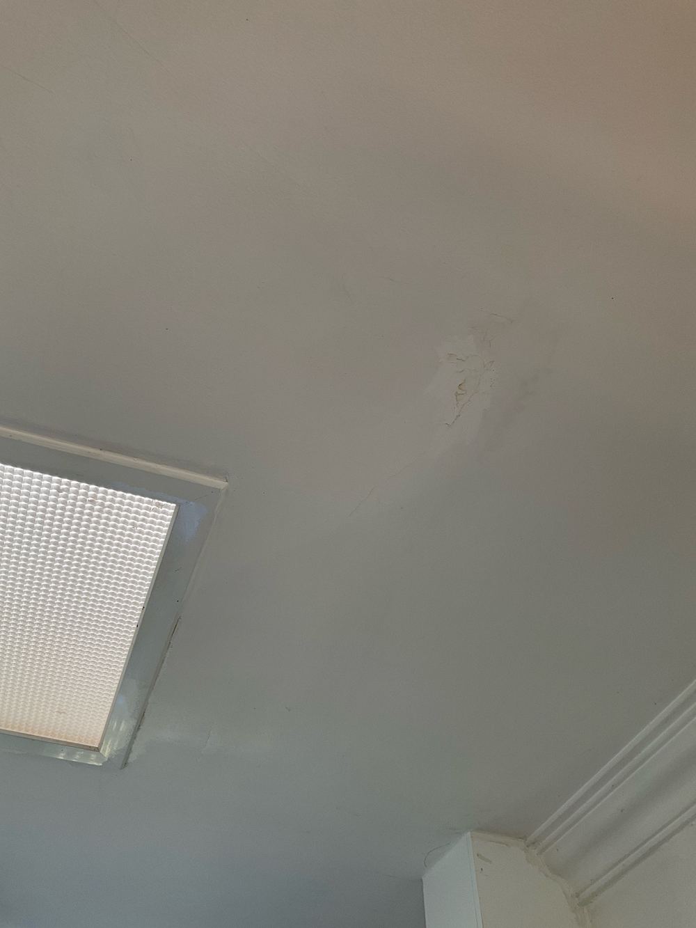 Active excessive moisture, found during a pre-purchase inspection in Newport