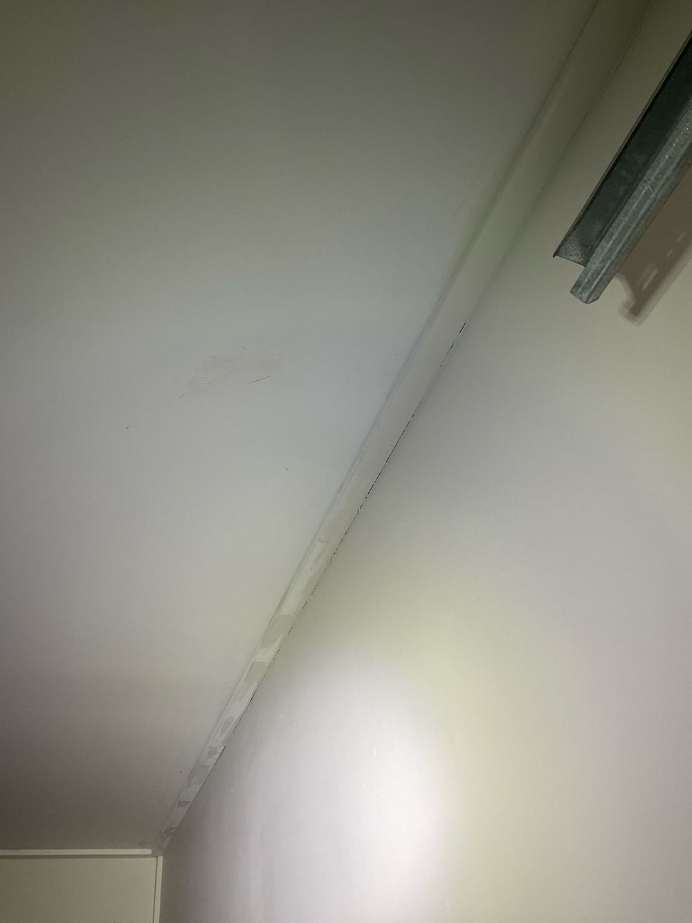 What a moisture meter adds to a building and pest inspection